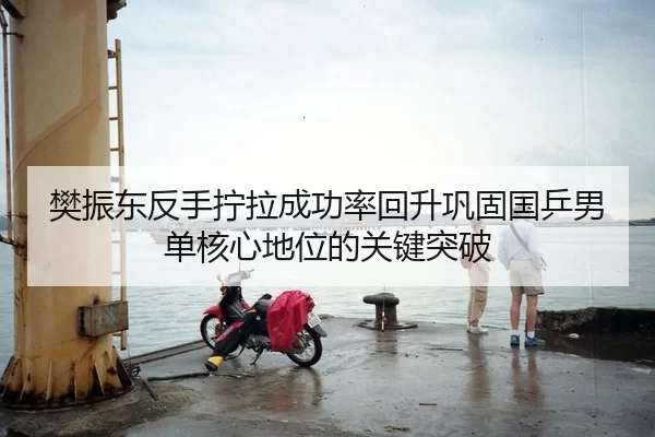 樊振东反手拧拉成功率回升巩固国乒男单核心地位的关键突破