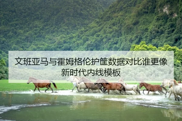 文班亚马与霍姆格伦护筐数据对比谁更像新时代内线模板