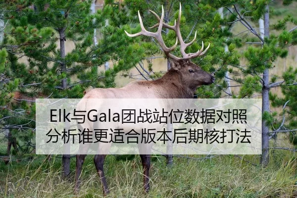 Elk与Gala团战站位数据对照分析谁更适合版本后期核打法