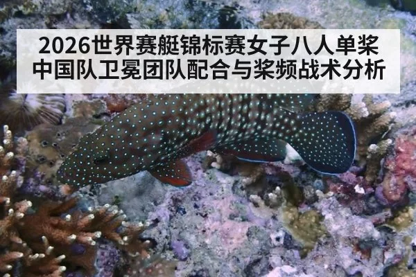 2026世界赛艇锦标赛女子八人单桨中国队卫冕团队配合与桨频战术分析