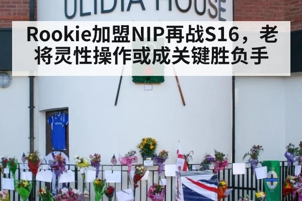 Rookie加盟NIP再战S16，老将灵性操作或成关键胜负手