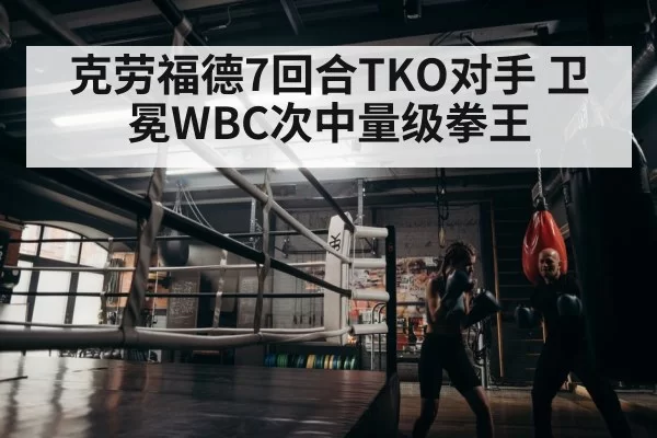 boxer training
